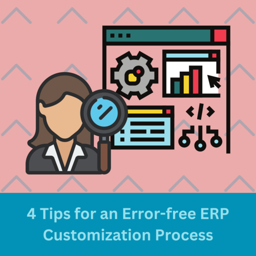 ERP Customization Process