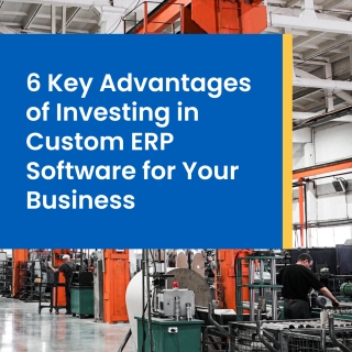 Why Should You Acquire Custom ERP Software?