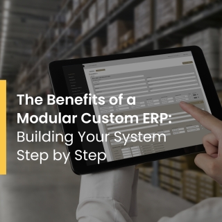 The Benefits of a Modular Custom ERP: Building Your System Step by Step