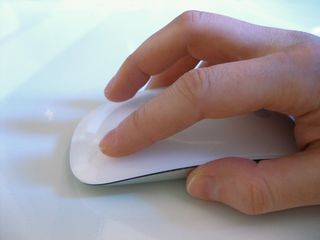 Choosing the best in Web Design
