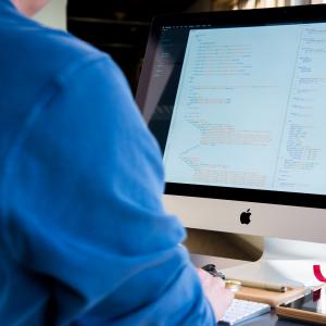 Holistic Custom Software and Web Services for Businesses