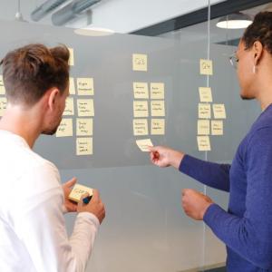 Main Roles within a Software Development Company