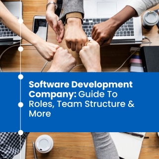 Software Development Company: Guide To Roles, Team Structure & More