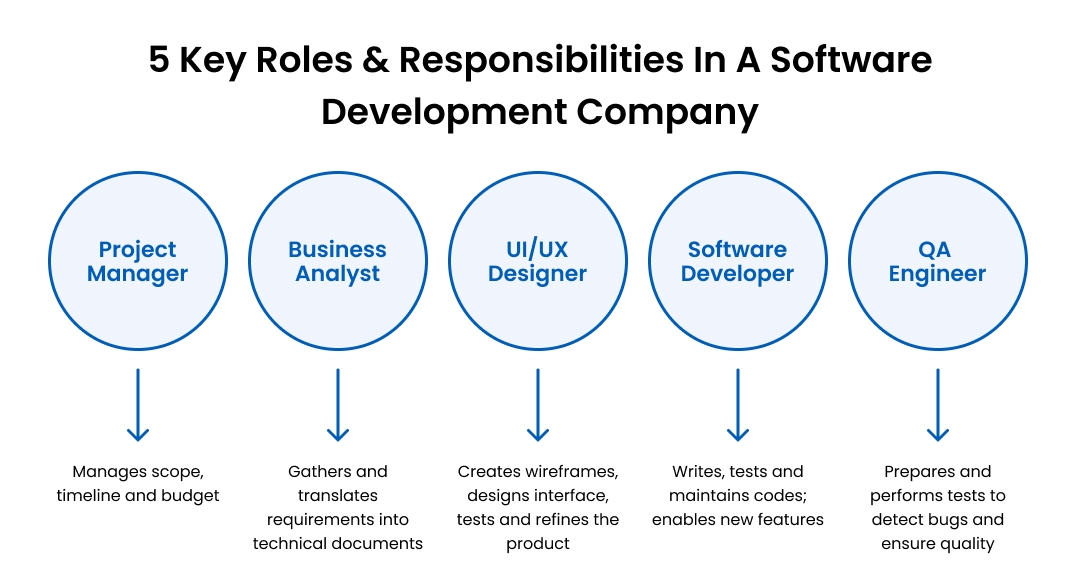 Software Development Company: Guide To Roles, Team Structure & More