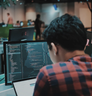 The Basics of Custom Software Solutions