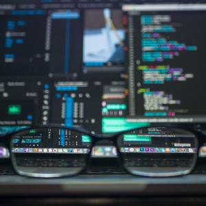 The Integral Elements Of The Digital World