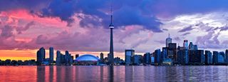 The Role of Toronto Web Design