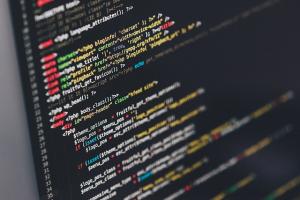 Using custom software development to grow your business