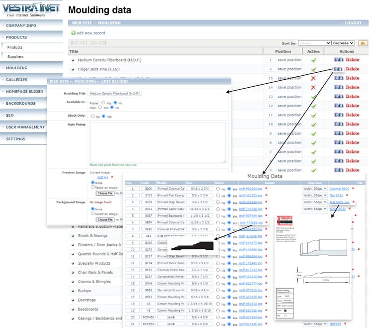 Streamlined Product Designs: Vestra Inet's Catalog Integration